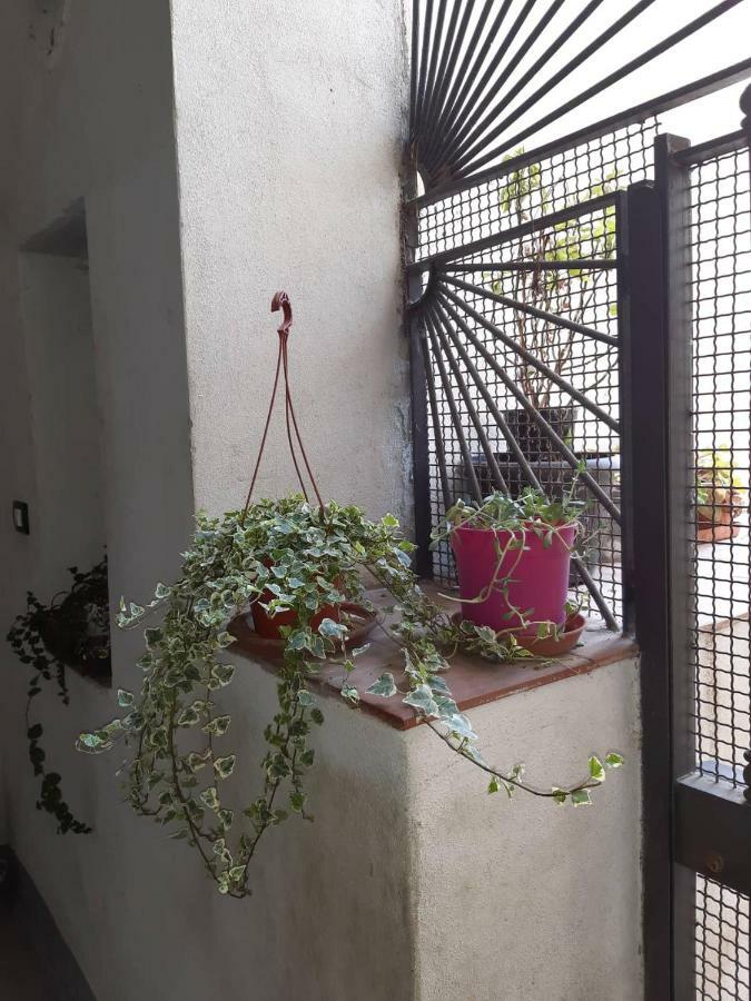 B&B Il Nespolo Σαλέρνο Εξωτερικό φωτογραφία